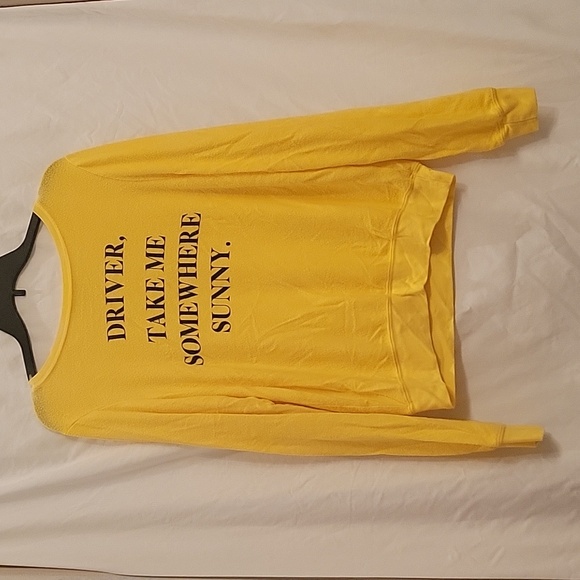 Wildfox Sweaters - WILDFOX SWEATER